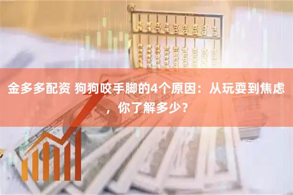 金多多配资 狗狗咬手脚的4个原因：从玩耍到焦虑，你了解多少？
