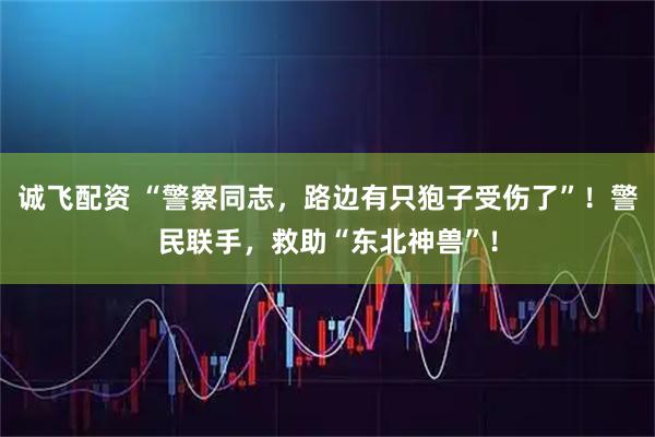 诚飞配资 “警察同志,路边有只狍子受伤了”!警民联手,救助“东北神兽”!