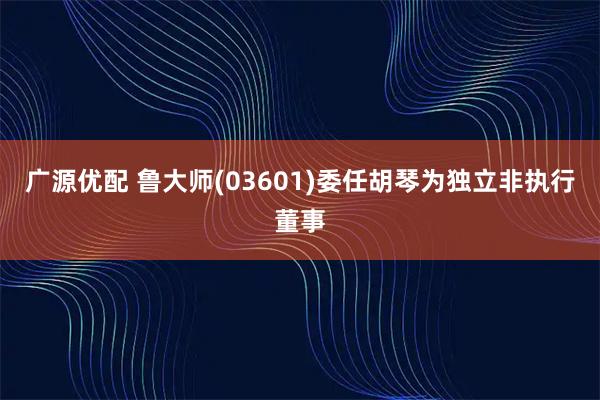 广源优配 鲁大师(03601)委任胡琴为独立非执行董事
