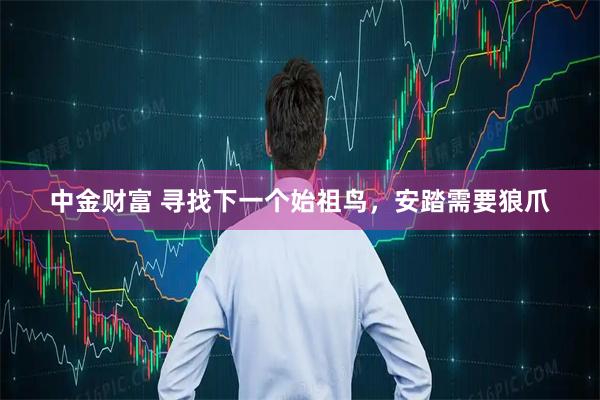 中金财富 寻找下一个始祖鸟，安踏需要狼爪
