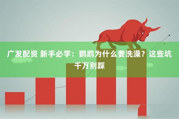 广发配资 新手必学：鹦鹉为什么要洗澡？这些坑千万别踩
