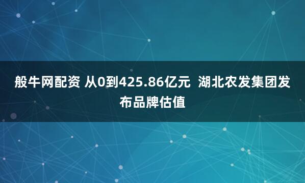 般牛网配资 从0到425.86亿元  湖北农发集团发布品牌估值